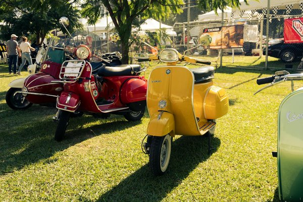 Discover the Best Eco-Friendly Vegan Leather Alternatives for Trendy Women in the UK